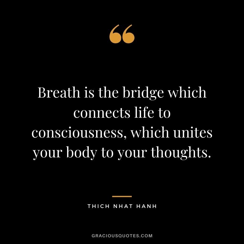 Thich Nhat Hanh Quote